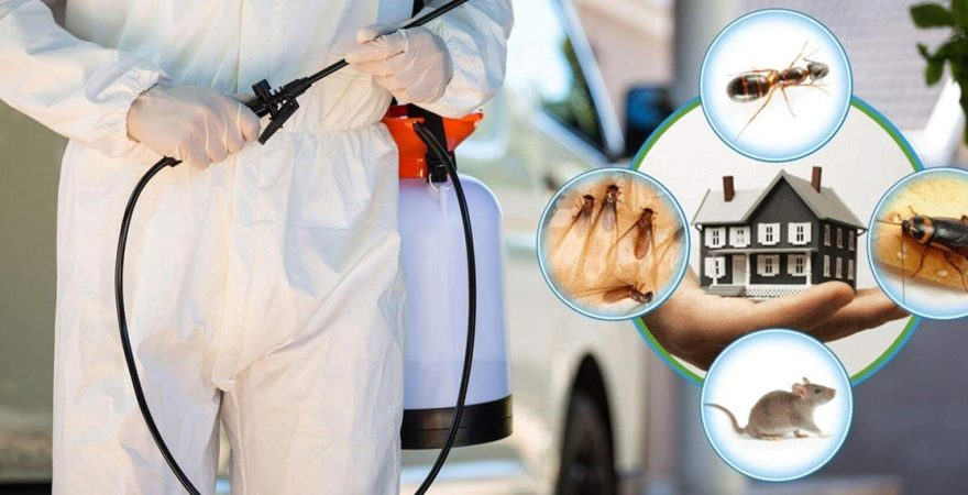 Zeytinalanı Böcek İlaçlama