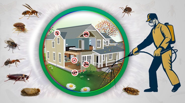 Zeytinalanı Böcek İlaçlama